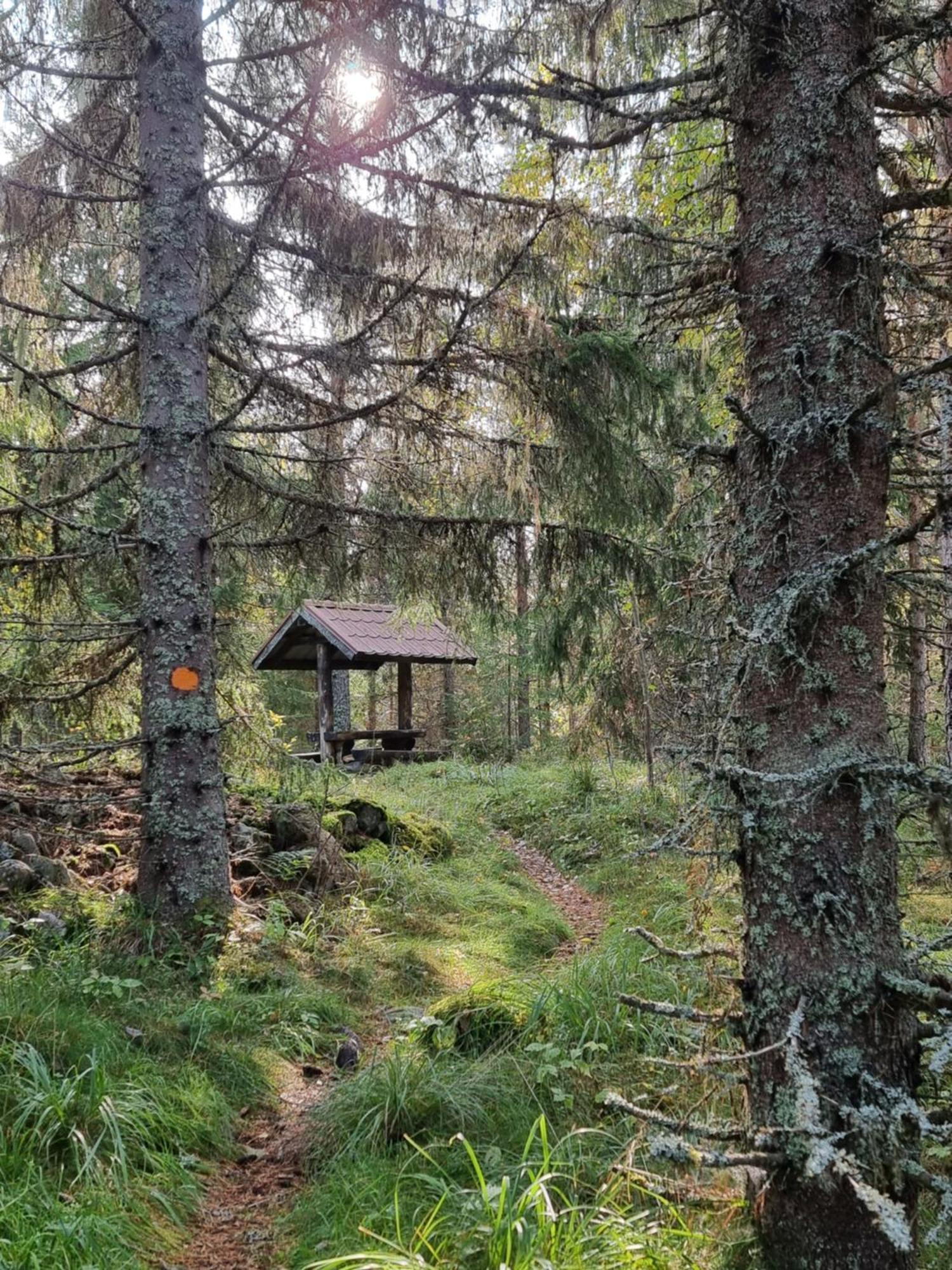 Willa Sunne Stugcenter 12 Gräsmark Zewnętrze zdjęcie